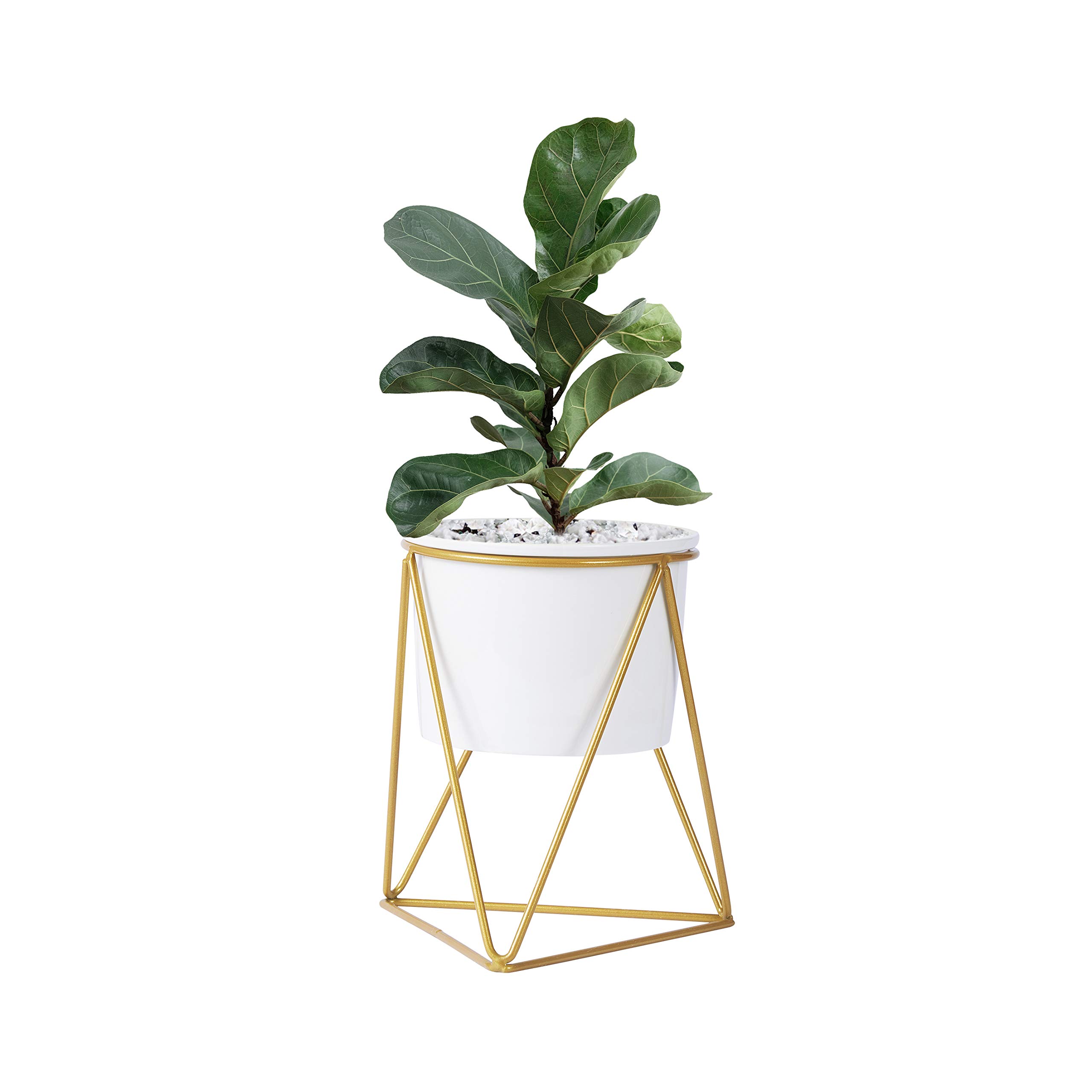Fieren Indoor Planter Pots Succulent Pots Small Flower Pot Indoor Plant Stand For 4 3 Pot House Plant White Ceramic Round Bowl With Metal Air Plant Stand For Succulent Planter 4 3in Gold Buy Online In Aruba At