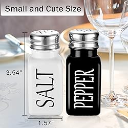 Salt and Pepper Shakers Set -DWTS DANWEITESI Cute