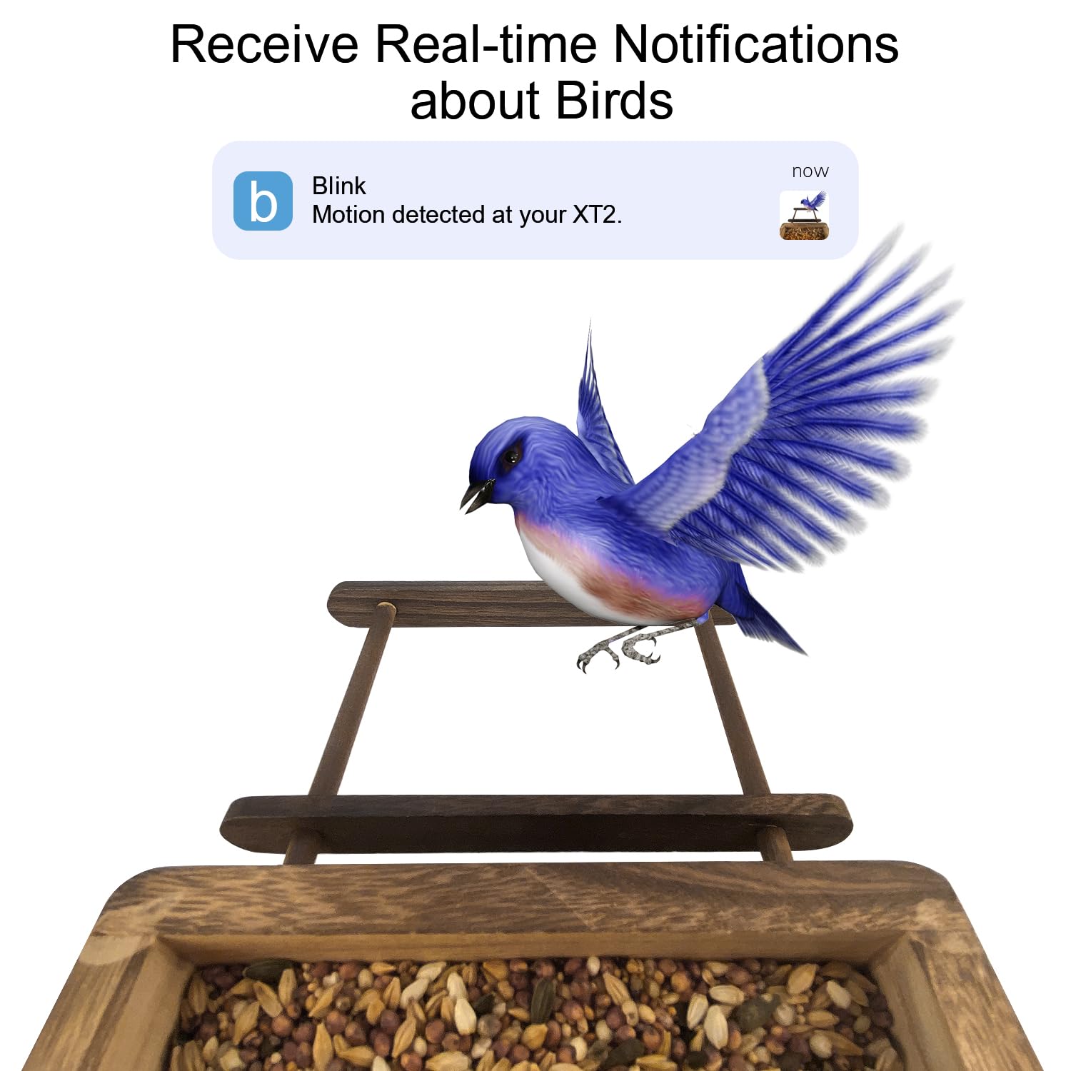 iTODOS Bird Feeder Camera Case Compatible with Blink Outdoor Camera (XT4/XT3/XT2/XT),Watch Birds On Your Phone,Natural Wooden Handcraft Close to Nature,Gift for Bird Lover-(Camera NOT Included)
