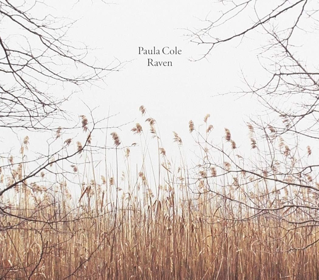 Amazon Raven Paula Cole 輸入盤 音楽 Amazon Raven Paula Cole 輸入盤 音楽