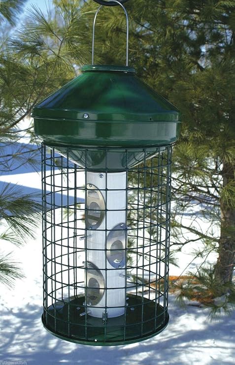 Amazon Com Audubon Avian Series Mixed Caged Bird Feeder Wild