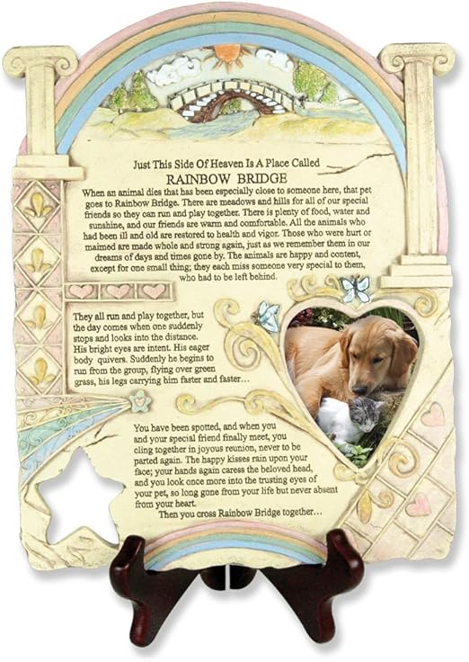 Amazon Com Banberry Designs Remembrance Plaque Pet Memorial With Rainbow Bridge Poem And Picture Frame Small Plastic Heart Picture Frame