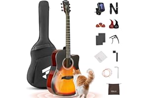 Fesley X Acoustic Guitar Kit, 41 Inch Full Size 6 String Cutaway Guitarra Acústica for Beginner Adults with Tuner, Gig Bag, Strap, Steel Strings, Capo, Pickguard, Picks, FD60C, Sunburst