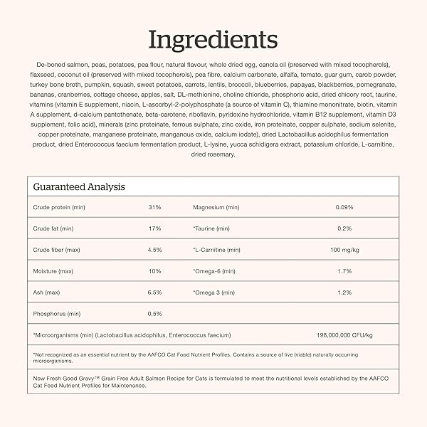 NOW FRESH GOOD GRAVY GRAIN-FREE DRY CAT FOOD WITH SALMON, HEALTHY KIBBLE FOR ADULTS & SENIORS COATED IN BONE BROTH – JUST ADD WATER TO MOISTEN, CHICKEN-FREE RECIPE FOR SENSITIVE STOMACHS, 8 LB BAG
