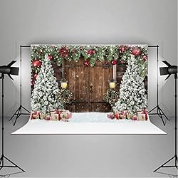 Lofaris Winter Christmas Backdrop Xmas Photography