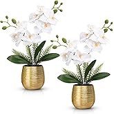 Juinte 2 Pcs Orchids Artificial Flowers in Gold Ceramic Vase 13'' White Fake Flowers Phalaenopsis Faux Orchid for Home Office Wedding Party Dining Room Table Centerpiece Decoration