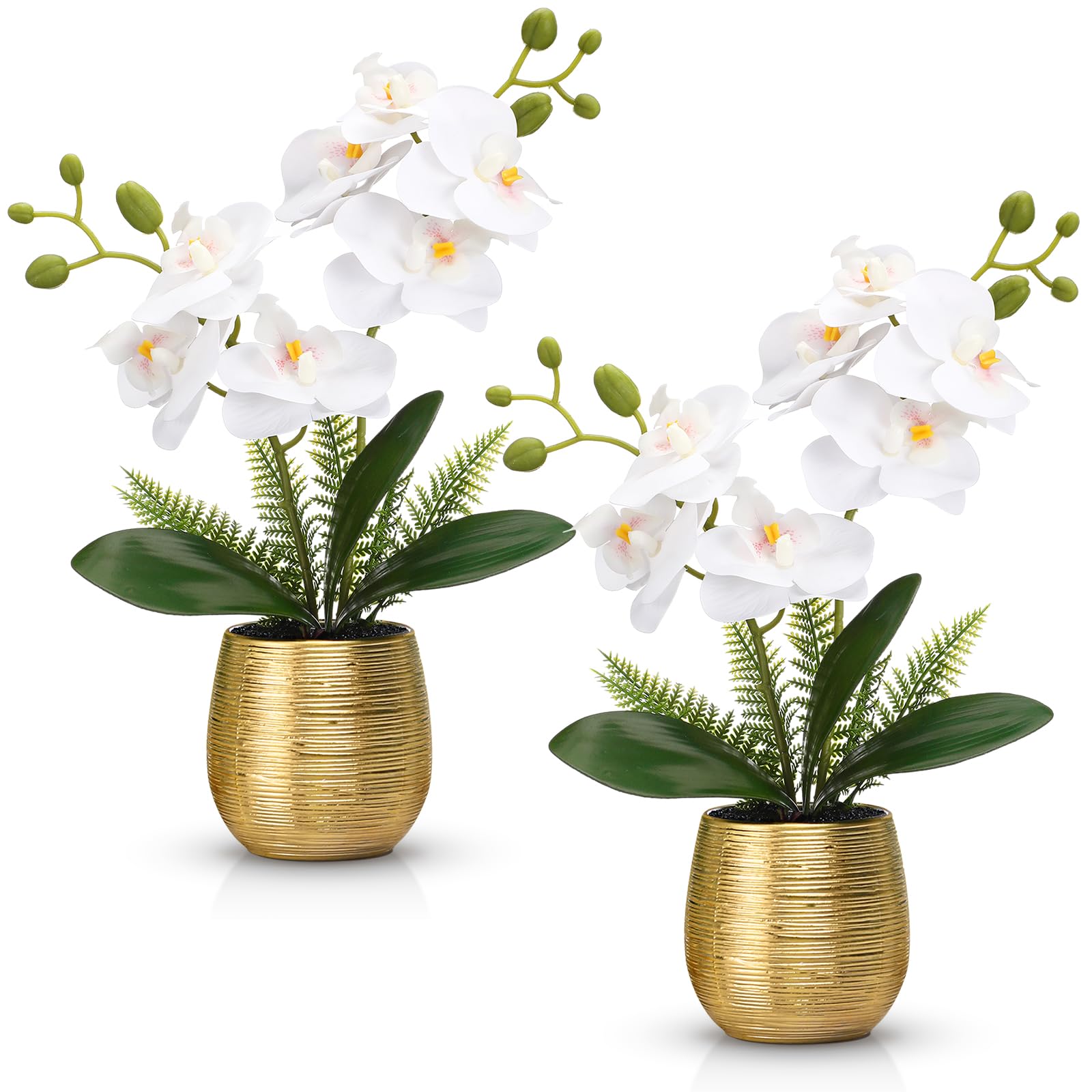 Photo 1 of Juinte 2 Pcs Orchids Artificial Flowers in Gold Ceramic Vase 13'' White Fake Flowers Phalaenopsis Faux Orchid for Home Office Wedding Party Dining Room Table Centerpiece Decoration