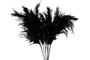 DRYEN 5 Pcs Dried Pampas Grass Decor, 17 Inch Artificial Pampas Grass, Pampas Grass Contains Bunny Tails Flowers, Extra Large