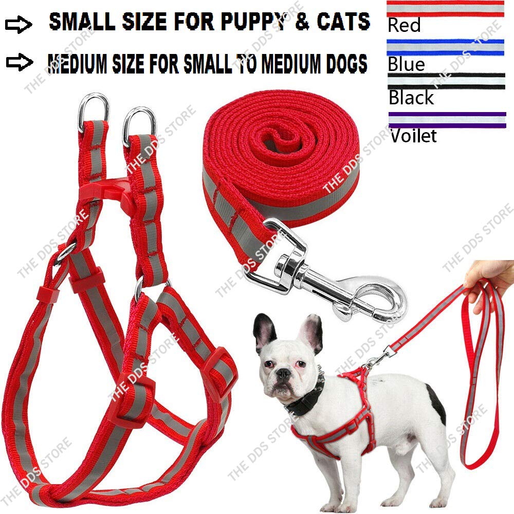 dog harness store