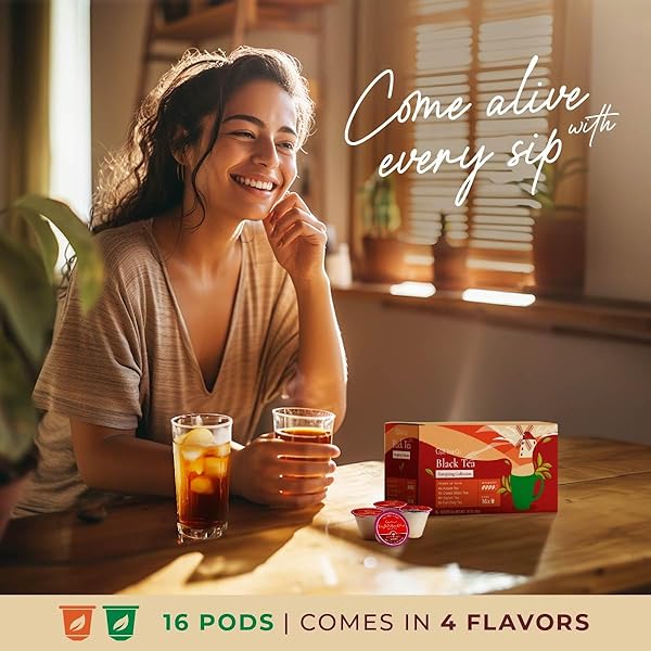 GYA TEA CO CAFFEINATED BLACK TEA POD VARIETY PACK (16 COUNT) – SMOOTH, FLAVOURFUL, ROBUST, ENJOY HOT OR ICED