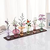 Mushroom Flower Vase, Cute Colored Plant Propagation Stations Set of 6, Mini Terrarium for Plants,Unique Small Hydroponic Pots for Indoor Plants, Glass Decor Vase Gifts for Women