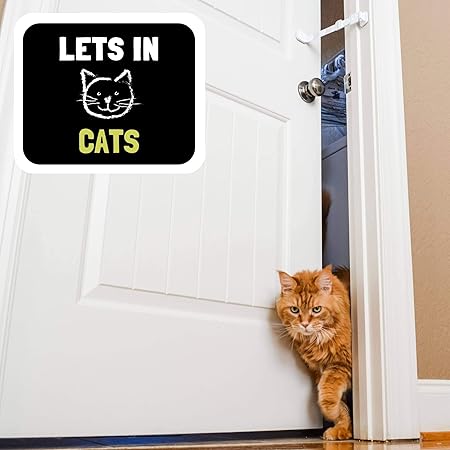 baby proof litter box