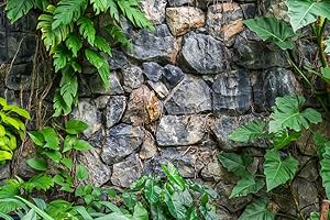 BannersNStands Aquarium Terrarium Backgrounds Main (Rock Wall with Plants, 36''L x 18''H)