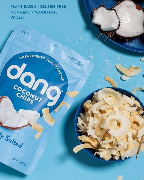 DANG KETO TOASTED COCONUT CHIPS | LIGHTLY SALTED UNSWEETENED | 1 PACK | KETO CERTIFIED, VEGAN, GLUTEN FREE, PALEO FRIENDLY, NON GMO, HEALTHY SNACKS MADE WITH WHOLE FOODS | 3.17 OZ RESEALABLE BAGS