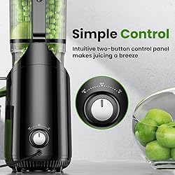 Cold Press Juicer, Amumu Slow Masticating Machines