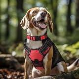 Joytale Reflective Dog Collar XL Red Neoprene Padded Nylon Adjustable view 2