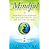 The Mindful Attraction Plan: Your Practical Roadmap to Creating the Life, Love and Success You Want