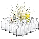 Mimorou 24 Pack Clear Glass Bud Vases Bulk Small Glass Living Vases for Centerpieces Vintage Table Decorative Bottle for Flowers Rustic Wedding Reception Party Decoration(1.85 x 2.87 in)