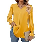Funlingo Women's 2025 Long Sleeve Tops Dressy Casual V Neck Tunic Shirts Loose Chiffon Work Blouse