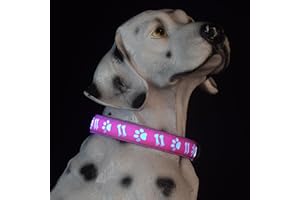 DOGLED Subversive USB-C led Light up Dog Collar, Subversive 3D Star Design Comfortable and Soft Material,Multicolored Lighting (L(19.7-23.6), A-Pink)