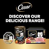 Cesar Premium Dog Wet Food Garden Terrine Loaf Lamb Turkey Green Beans 8x150g view 8