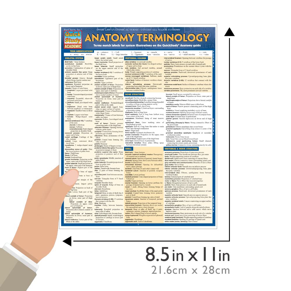 Mua Anatomy Terminology (Quick Study Academic) trên Amazon Mỹ chính ...