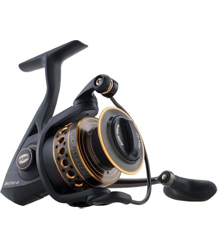 Penn 1422311 Conflict II Spinning Reel, 4000 Reel : Sports & Outdoors