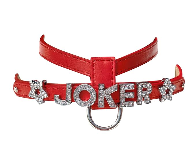 Hunde-Geschirr mit Strass-Buchstaben Namen für kleine Hunde XS Rot