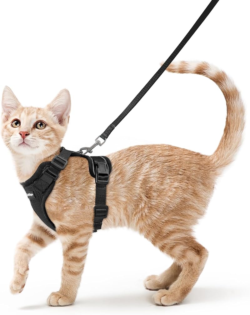 rabbitgoo Cat Harness and Lead Set Adjustable Escape Proof Reflective Purple S
