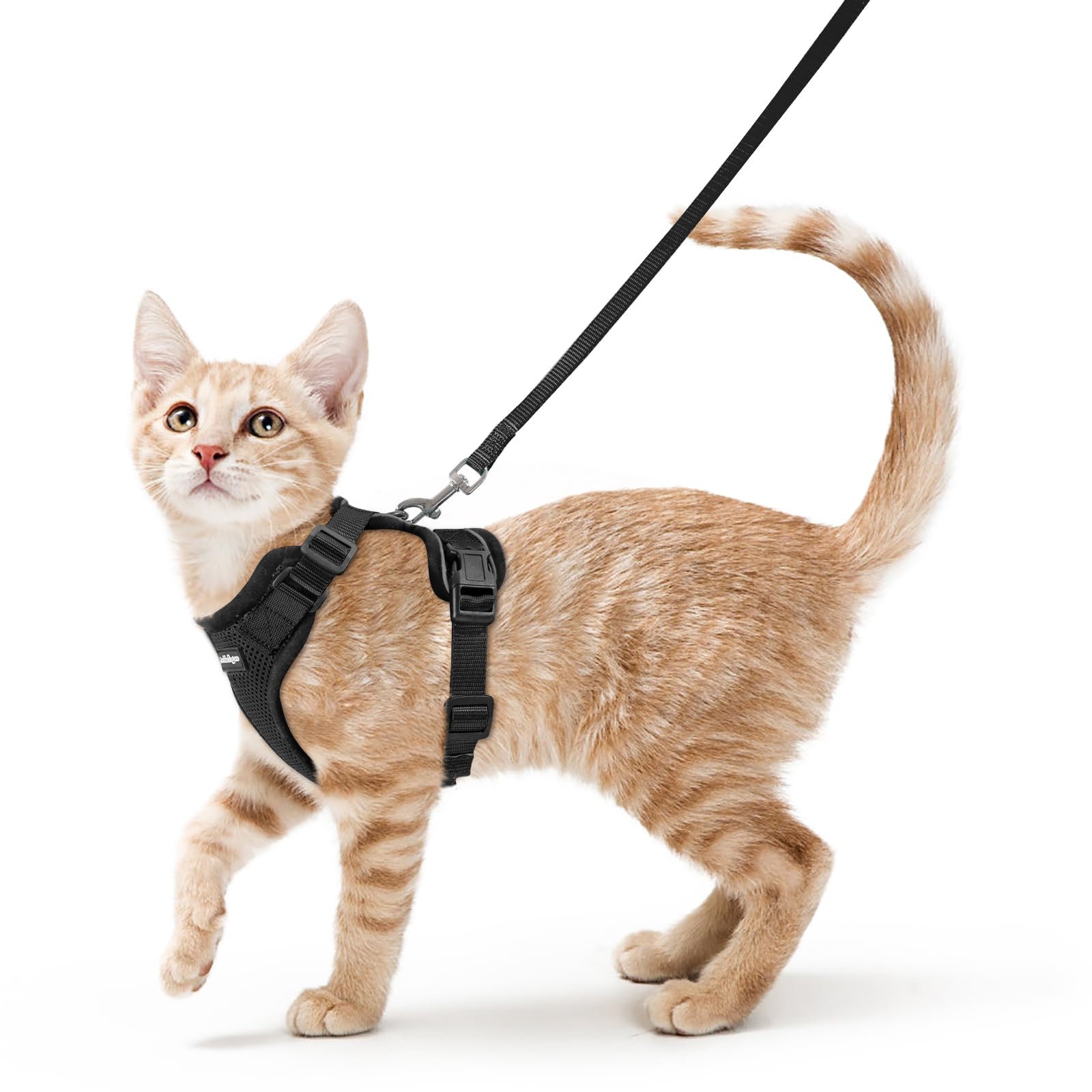 rabbitgoo Cat Harness and Lead Set, Escape Proof Kitten Harness with Leash, Metal Ring, Lightweight Soft, Reflective Adjustable Vest for Small Cat Walking Travel S (Pack of 1), Black