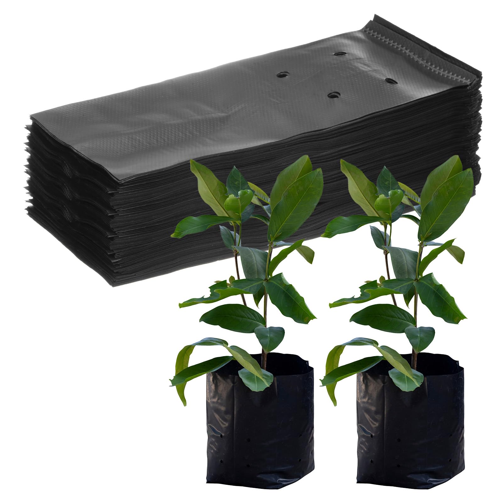 M METERXITY 200-Pack Nursery Growing Bags, 7.9" x 9.8" Thicken Plastic Nursery Bags, Gardening Seed Plant Bags for Potato/Flower/Tomato/Plant Starts/Home Gardening Supplies [Black]