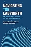 Navigating the Labyrinth: An Executive Guide to