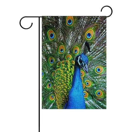 Amazon Com Mohado Beautiful Peacock Feathers Garden Flag Yard