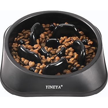 best bark wet dog food Big Bark Bundle main image 1