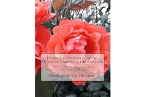 Everblooming Roses For The Outdoor Garden of the Amateur: The Culture, Description and Care of Roses