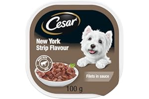CESAR Filets in Sauce Adult Wet Dog Food - New York Strip, 100g (Pack of 24) Tray