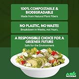 Ask Packaging 240 ml Bagasse Bowls - 100 Pack, Biodegradable Microwavable view 6