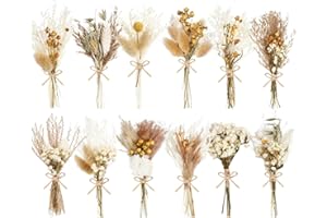 WGXX 12/24 Pack Dried Flowers for Vase Various Mini Bouquet Dried Small Wildflowers Natural Real Flowers Bulk for Crafts DIY Wedding Decor (12, Plain Colour)
