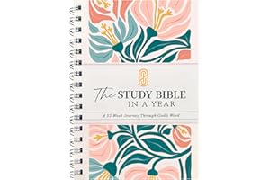 The Study New The Bible for 1 Year A 52-Week Study Through Gods Word, A Beautiful Year in The Bible for Women (8.27 * 5.83in)