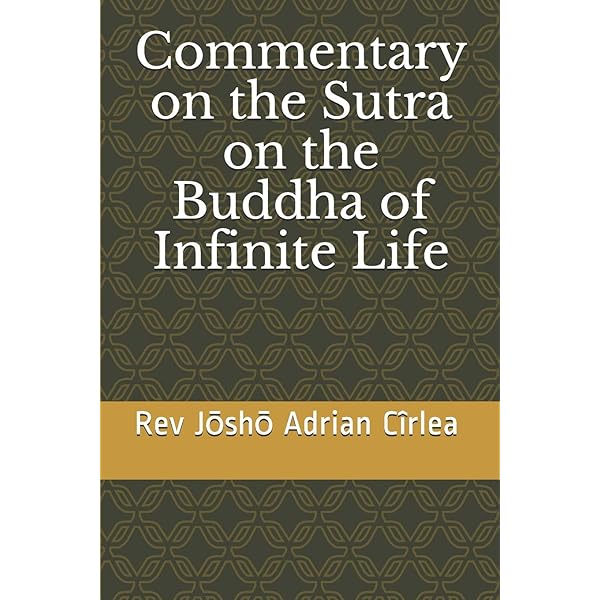Nāgārjuna's Treatise on the Ten Grounds Volume I: Bhikshu