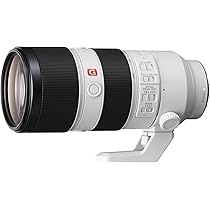 Sony FE 70-200 mm f/2.8GM OSS | Quadro completo, super