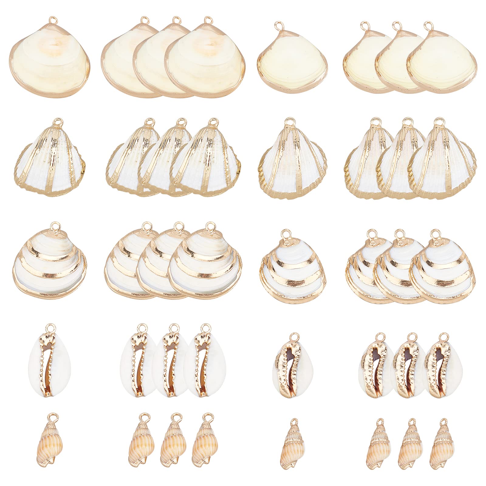 SUNNYCLUE 1 Box 20Pcs 5 Styles Freshwater Shell charms Ocean Beach Cowrie Seashells Pendants Conch Jewellery Charm Dangles for DIY Necklace Bracelet Earring Making Home Beach Theme Party Decor