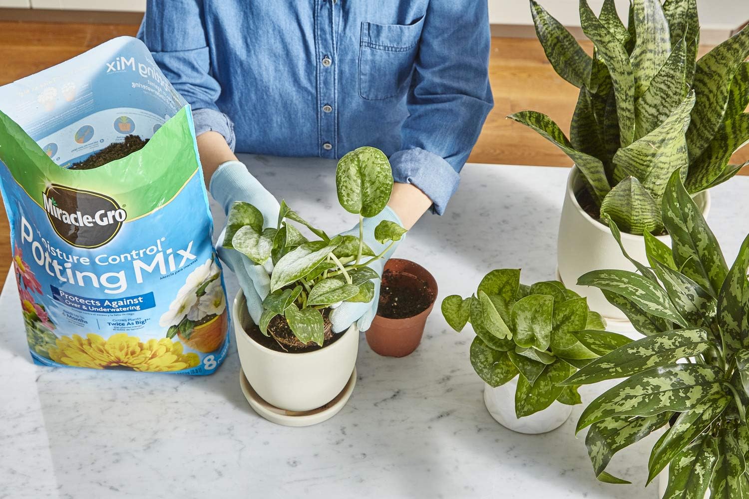 Miracle-Gro Moisture Control Potting Mix 8 qt., Protects Against Over and Under Watering Container Plants, 2 Pack : Garden & Outdoor