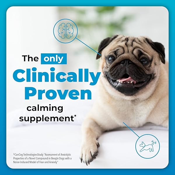 VETRISCIENCE COMPOSURE CLINICALLY PROVEN CALMING CHEWS, CHICKEN, SIX 15-CHEW PACKS