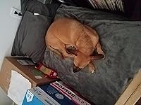 Review Image by stormgooser stormgooser