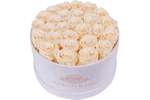 PRIFROTI 27 Roses in a Luxury Suede Box, Mother Day Flowers Gifts for Mom, Preserved Flowers for Her, Birthday Gifts for Women, Champagne