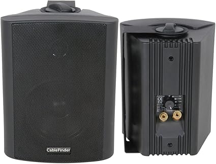 100v speakers