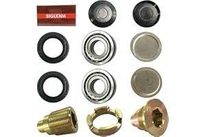 BIGLKNM Swingarm Bearing Seal Kits & Bolts & Lock Nuts & Cap Rebuild Kit for Recon 250 TRX250 TRX250TE Fourtrax 300 TRX300 Ra