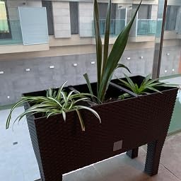 Zanvic Jardinera C/Patas Mod Rato Jh 800 C/Autorriego, Chocolate ...