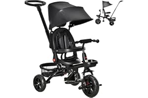 Qaba Tricycle for Toddler 4 in 1 Kids Trike, Foldable Converts Stroller to Toddler Bike, Adjustable Backrest & Curved Canopy,